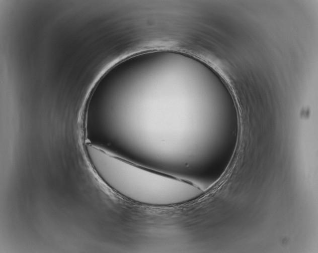 X0000097971056200803241231