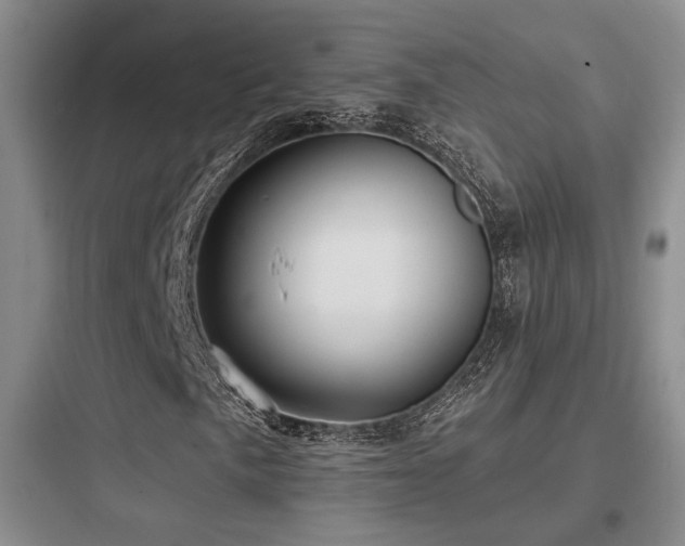 X0000097971057200803241229
