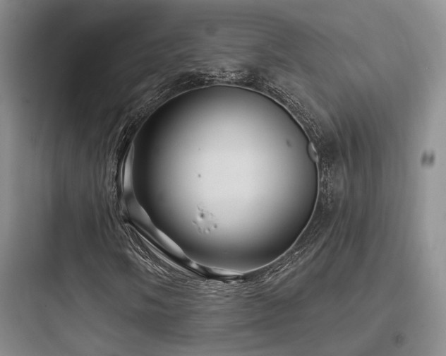 X0000097971058200803241229