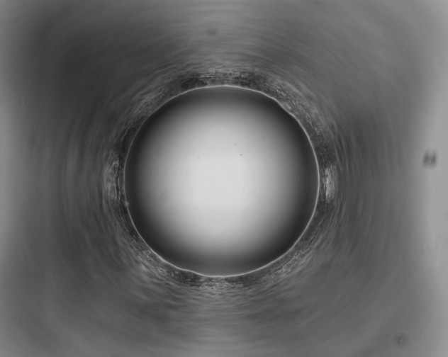 X0000097971059200803241229