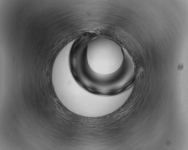 X0000097971060200803241229