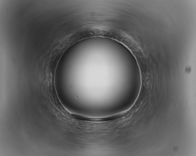 X0000097971061200803241229