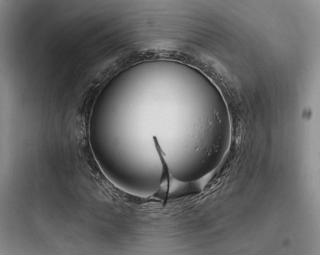 X0000097971062200803241229