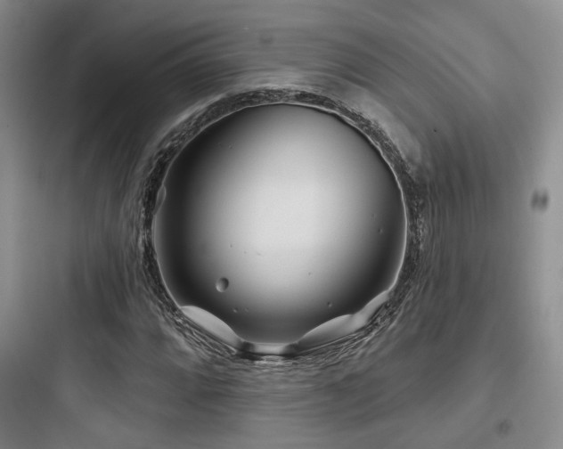 X0000097971064200803241229