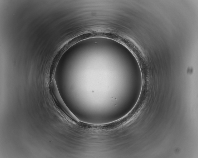 X0000097971065200803241229