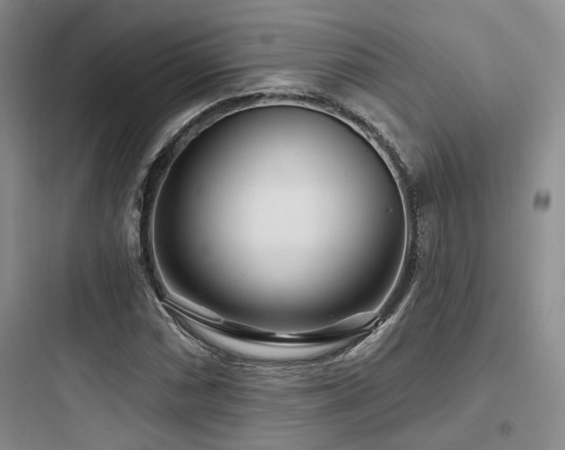 X0000097971066200803241229
