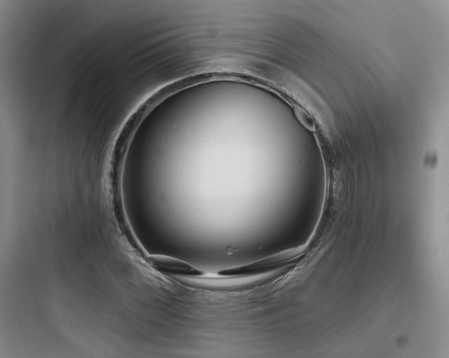 X0000097971068200803241229
