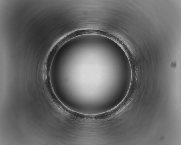 X0000097971069200803241229
