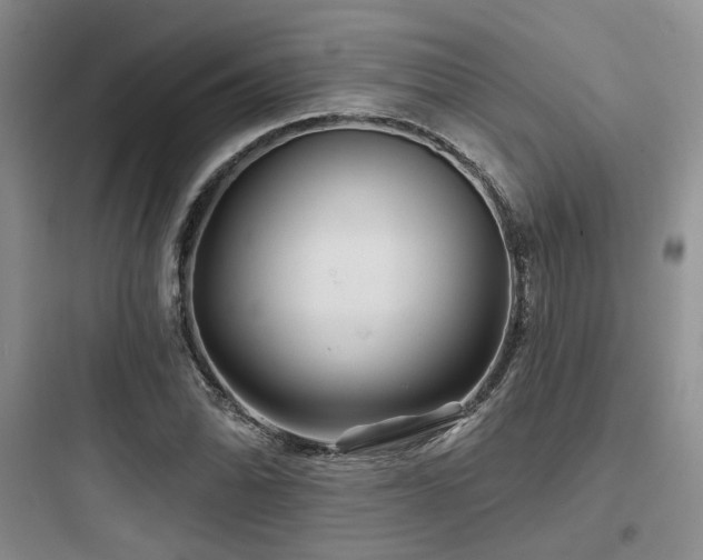 X0000097971070200803241229