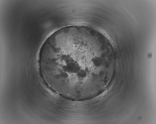X0000097971071200803241229