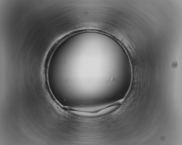 X0000097971072200803241229