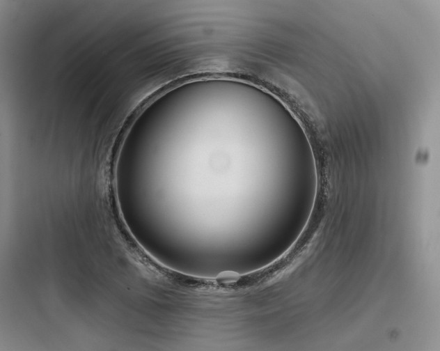 X0000097971073200803241229