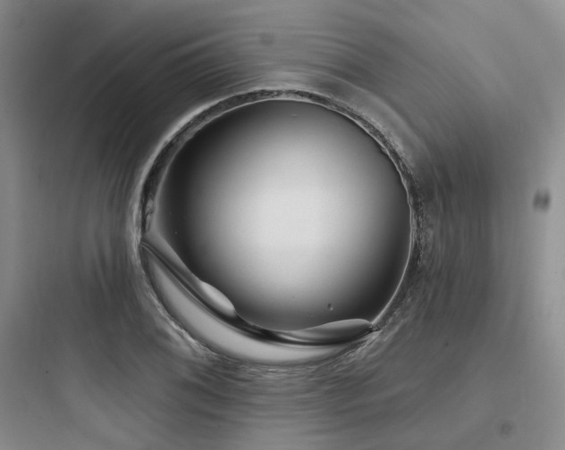 X0000097971076200803241229