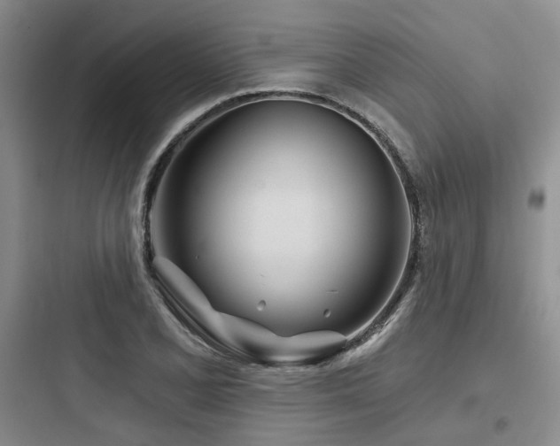 X0000097971077200803241229