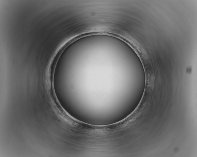 X0000097971078200803241229