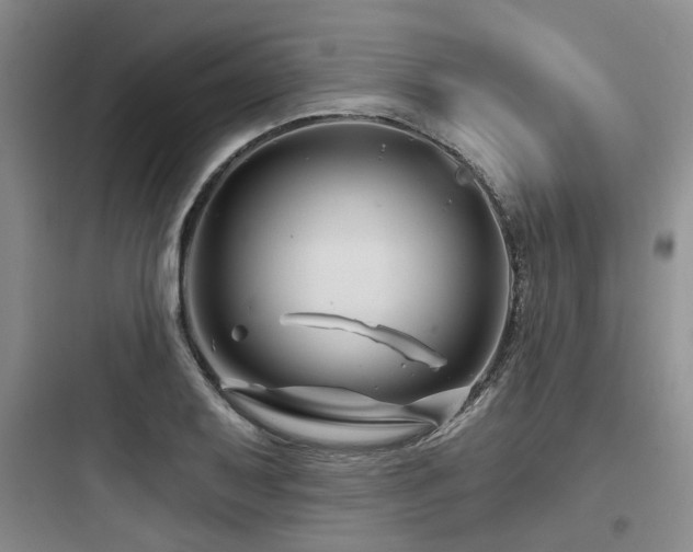 X0000097971079200803241229