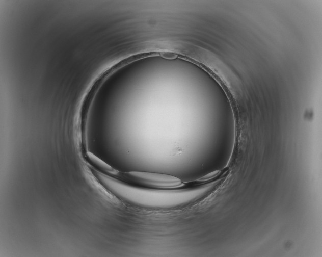 X0000097971080200803241229