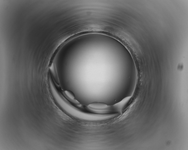 X0000097971081200803241229
