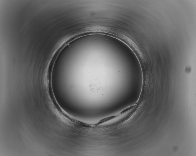 X0000097971082200803241229