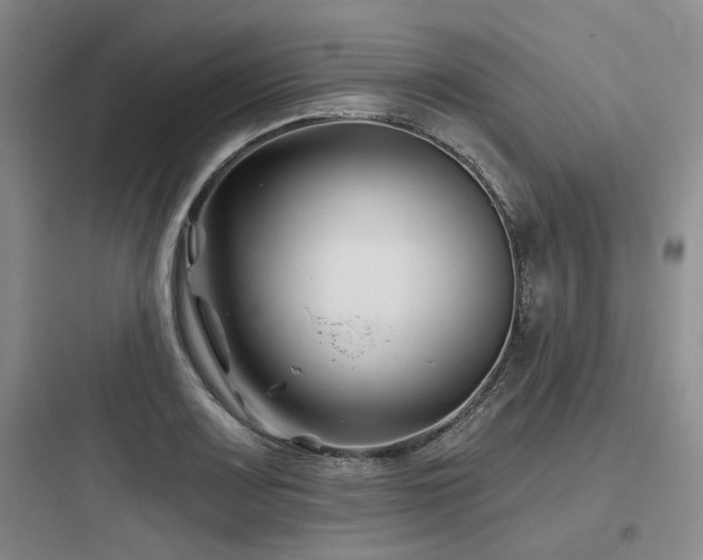X0000097971083200803241229