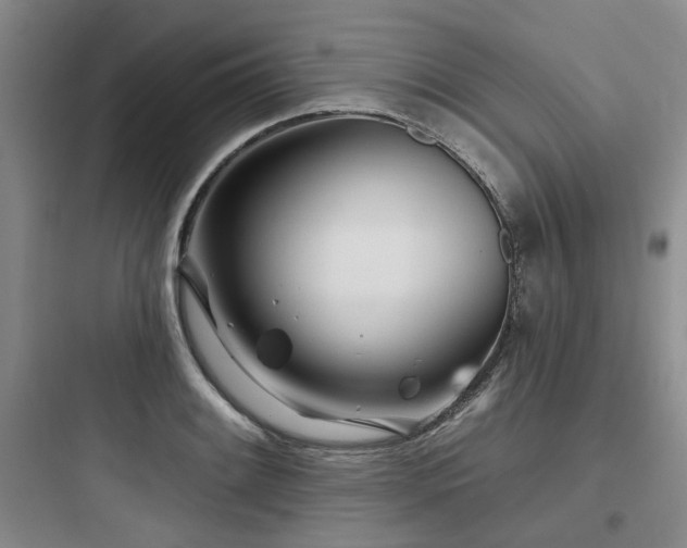 X0000097971084200803241229