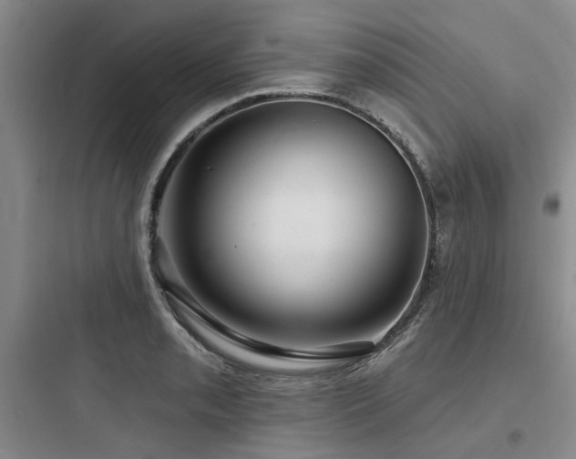 X0000097971085200803241229