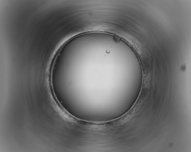 X0000097971086200803241229