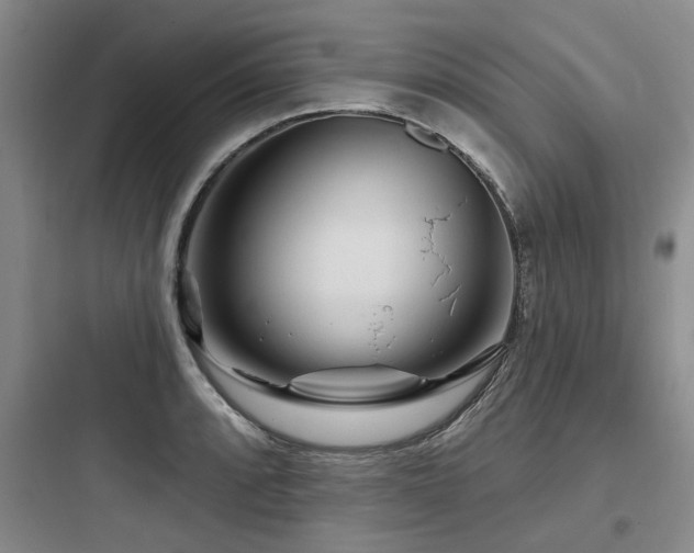 X0000097971088200803241229