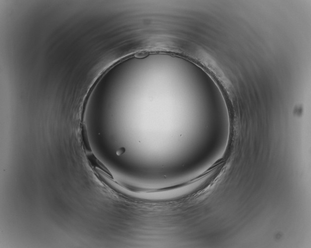 X0000097971089200803241229