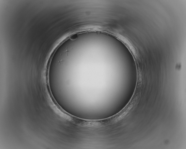 X0000097971090200803241229