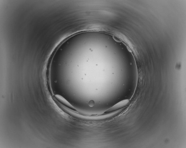 X0000097971091200803241229