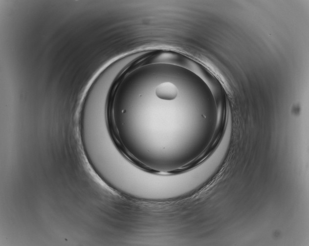 X0000097971092200803241229