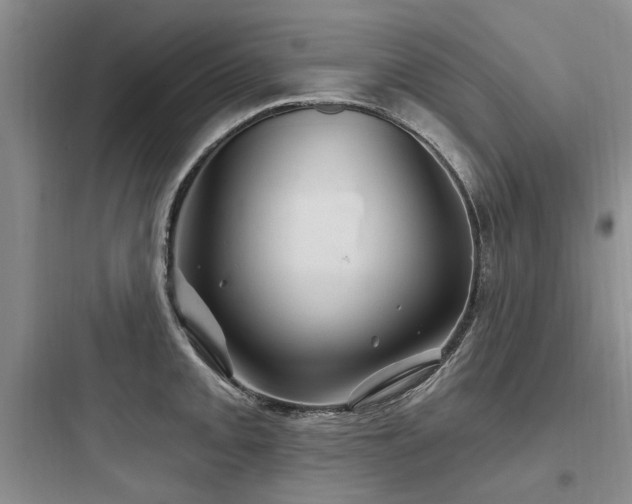 X0000097971093200803241229