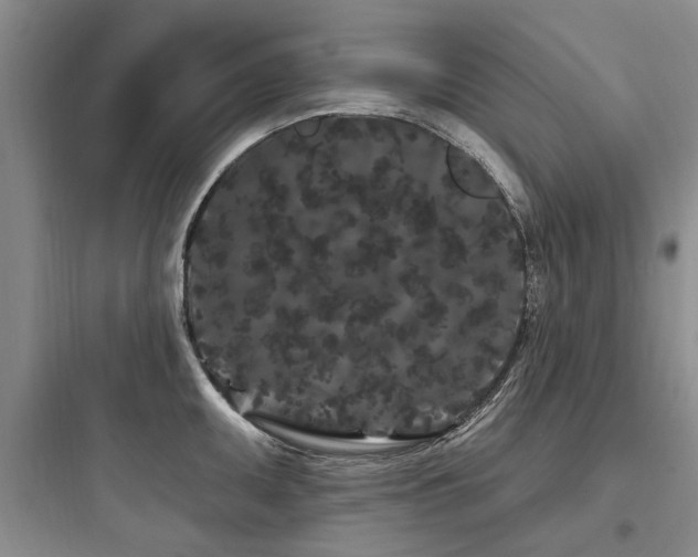 X0000097971095200803241229