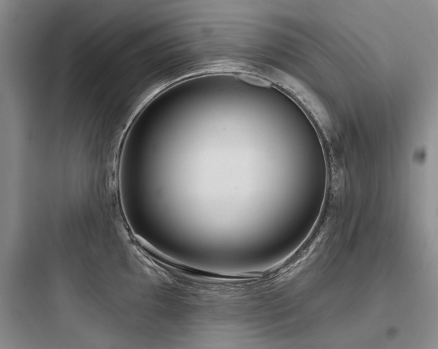 X0000097971097200803241229