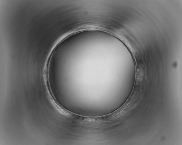 X0000097971098200803241229