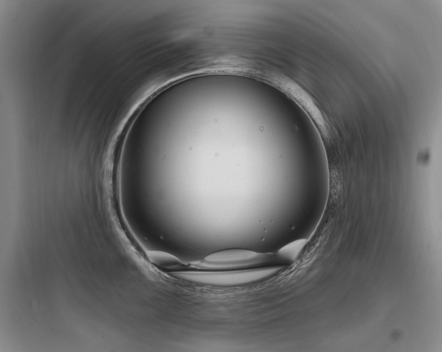 X0000097971099200803241229
