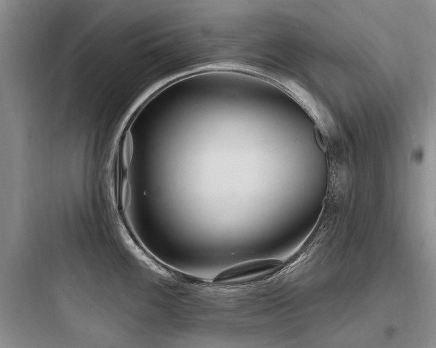 X0000097971100200803241229