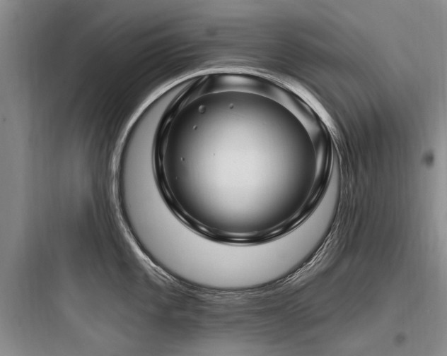 X0000097971101200803241229