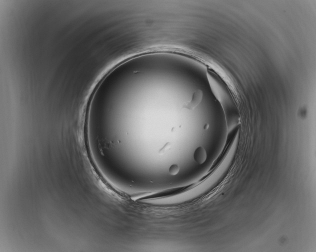 X0000097971102200803241229