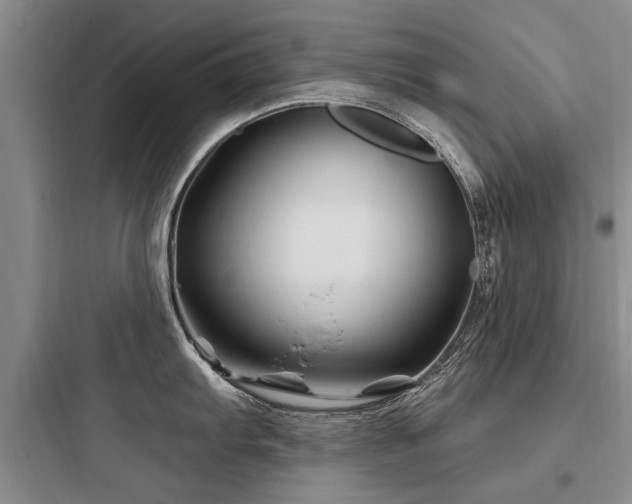 X0000097971103200803241229