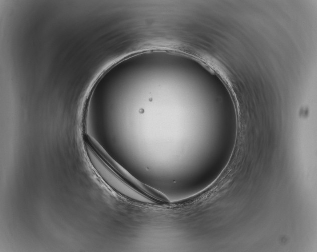 X0000097971104200803241229