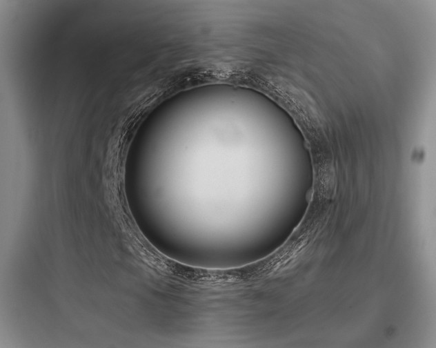 X0000097971105200803241228