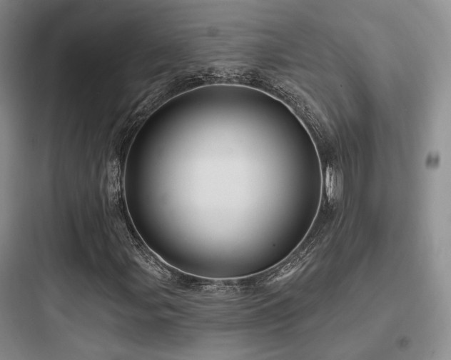 X0000097971107200803241228
