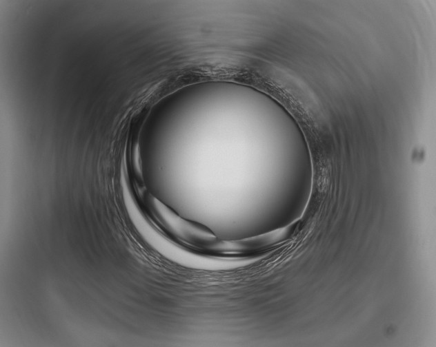 X0000097971108200803241228