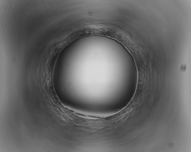 X0000097971109200803241228