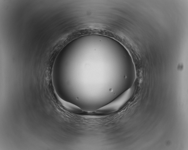 X0000097971110200803241228