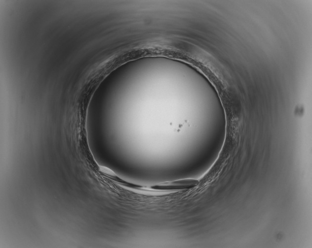 X0000097971111200803241228