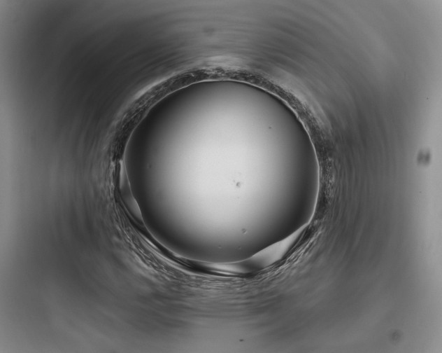X0000097971112200803241228