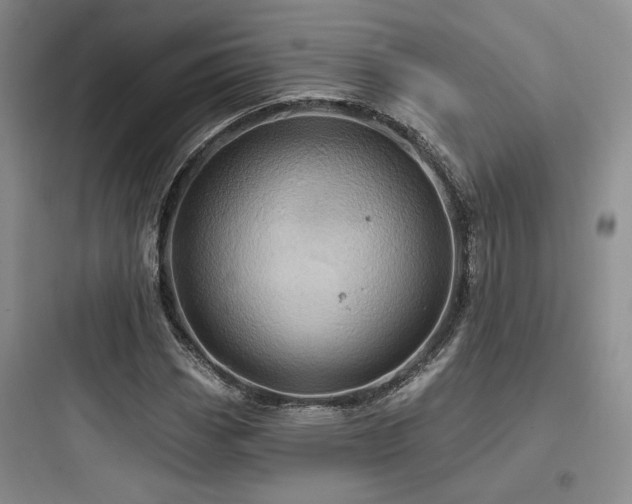 X0000097971113200803241228